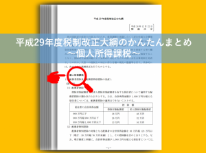 平成29年度税制改正大綱